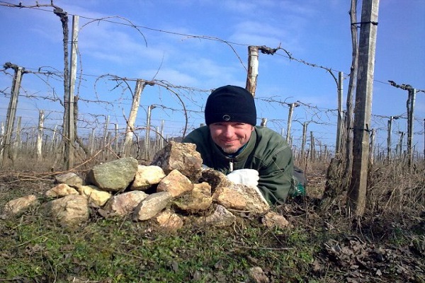 A Variszkusz-alapító egyetemeken népszerűsítené a magyar bort