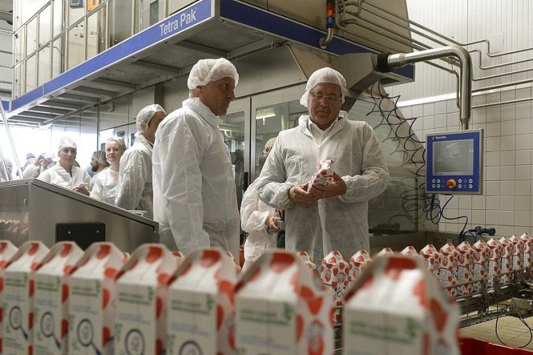 Kormányzati tejkampány indul 420 millió forintból