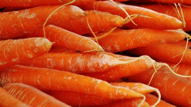 Sárgarépából és petrezselyemből is importra szorul az ország