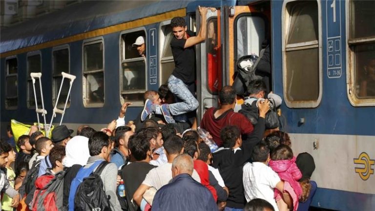 A MÁV-nak kerül a legtöbbe a migránsválság