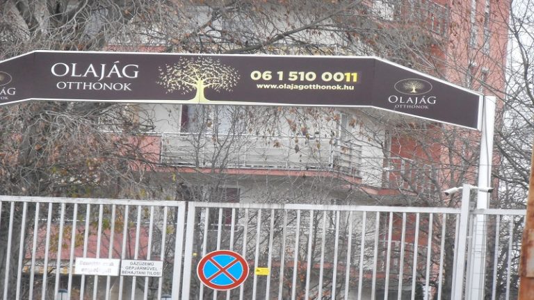 Olajág Otthonok: felmérés a rekreációról és az aktivitás fontosságáról