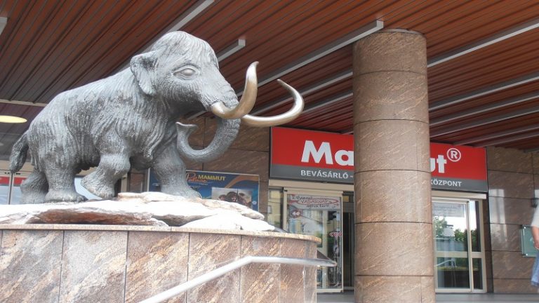 Heten szállhatnak ringbe a Mammut-kommunikációért