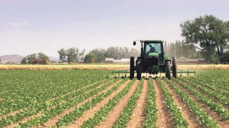 Rekordösszegű agrártámogatást fizettek a gazdáknak Rekordösszegű agrártámogatást fizettek a gazdáknak