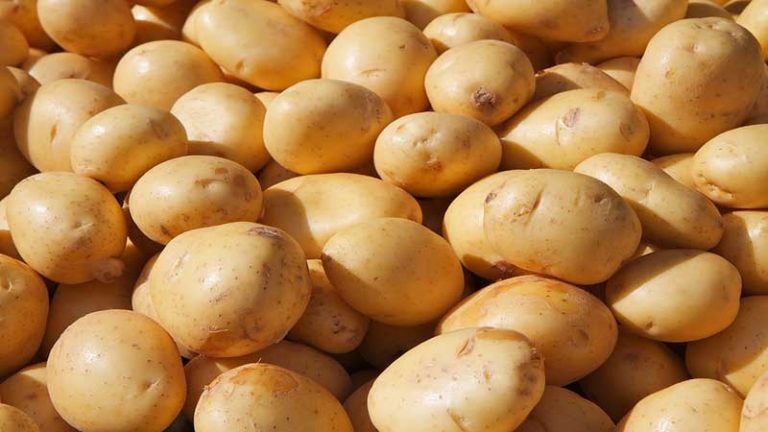 Tizenöt tonna burgonyát és almát fogtak Békés megyében Tizenöt tonna burgonyát és almát fogtak Békés megyében