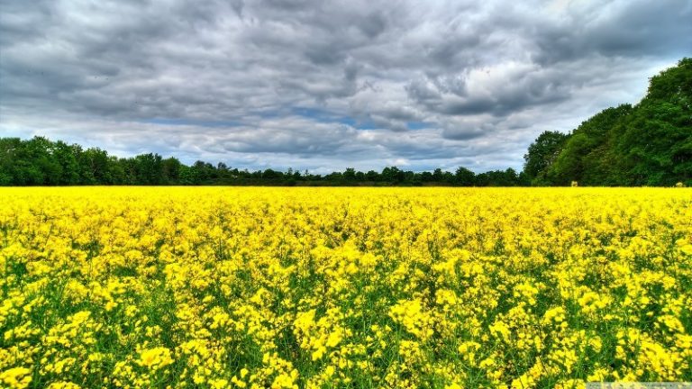 Ráunt a potyautasokra a Nemzeti Agrárgazdasági Kamara Ráunt a potyautasokra a Nemzeti Agrárgazdasági Kamara