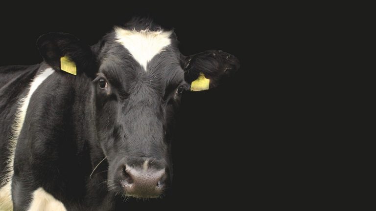 Újabb három uniós pályázatban merült ki a keret
