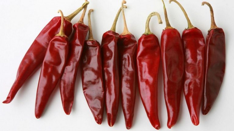 Bor, paprika, tök, sárkány, vágta, színház – vagy amit akartok