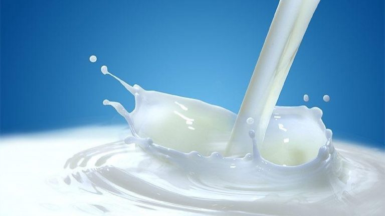 Megállapodást kötött az adóhivatal a Tej Terméktanáccsal
