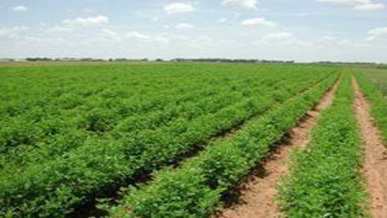 Szerbiában találhat partnerre a magyar agrárium