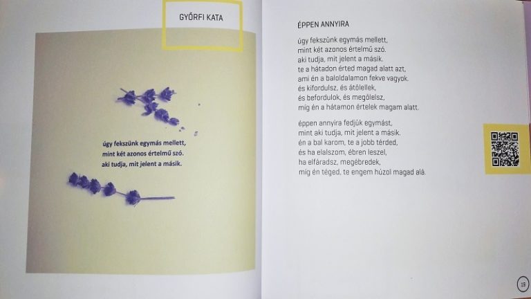 InstaVers: kortárs eszközökön kortárs irodalom