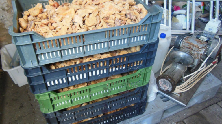 Bezáratott egy Tolna megyei húsboltot a Nébih