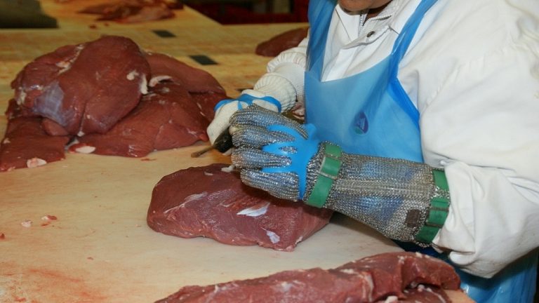 Januárban indul az éles próbaüzem a mohácsi óriásvágóhídon