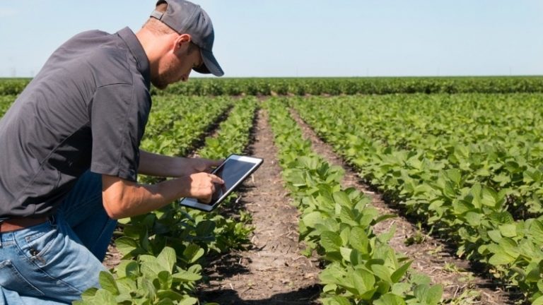 Online felületen véleményezhetik a Közös Agrárpolitikát Online felületen véleményezhetik a Közös Agrárpolitikát