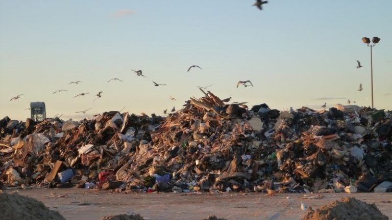 Sokba kerül Erdélyben a szelektív hulladékgyűjtés