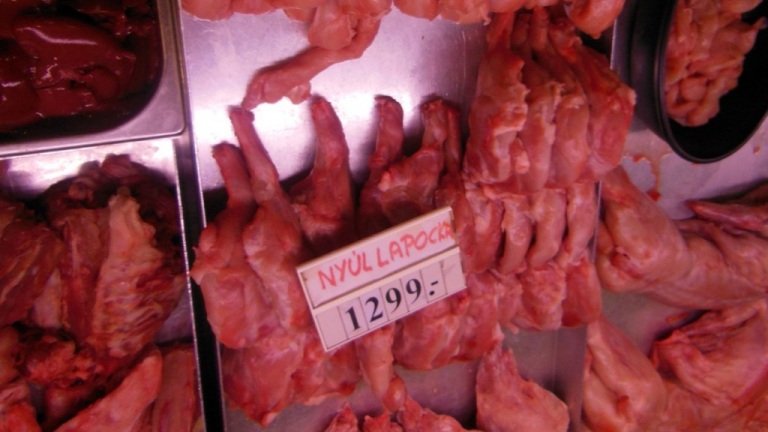 Közeleg a húsvét: tonnaszám foglalt le nyúlhúst az élelmiszerbiztonsági hivatal