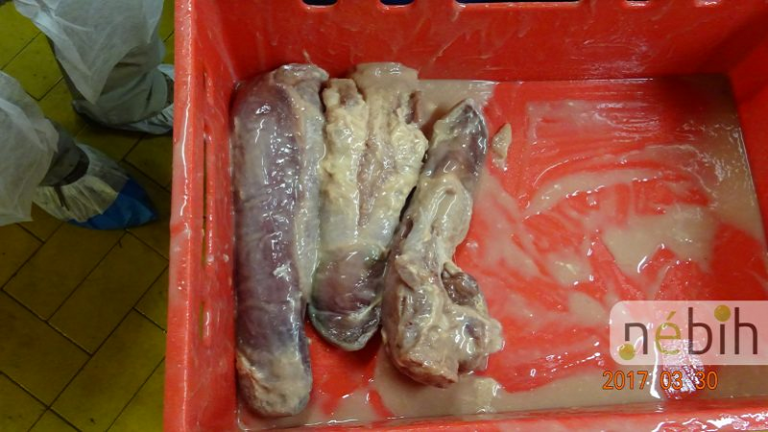 Több tonna, ismeretlen eredetű sonkát foglaltak le egy koszos üzemben