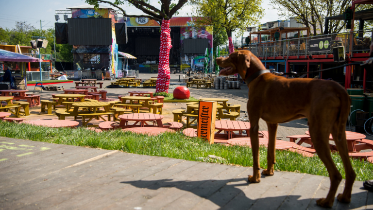 Elővételben már százezres jegyeladásnál tart a Budapest Park