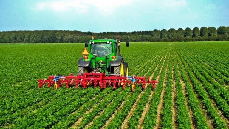 Tízezren már várhatják az agrárkamara ajánlott küldeményét