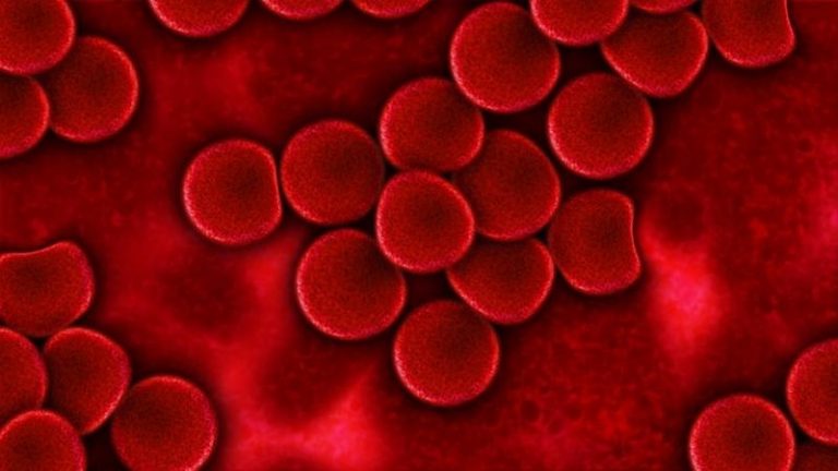 150 országba szállít egy magyar cég vérvizsgálathoz szükséges készülékeket