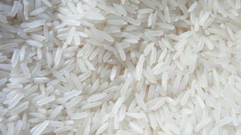 Készül az agrártárca rizsstratégiája