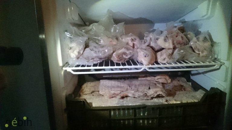 Ötből egy tiszai étterem a zavarosban halászott