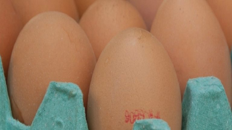 A tojástermelők szerint olcsó import tojásokkal veszélyezteti a piacot a Penny Market