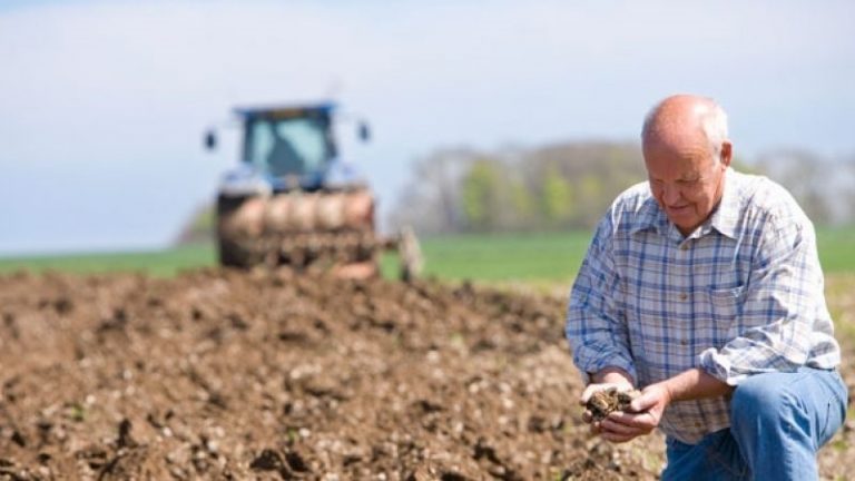Agrár workshop is lesz az élelmiszeripari kiállítás előtt Agrár workshop is lesz az élelmiszeripari kiállítás előtt