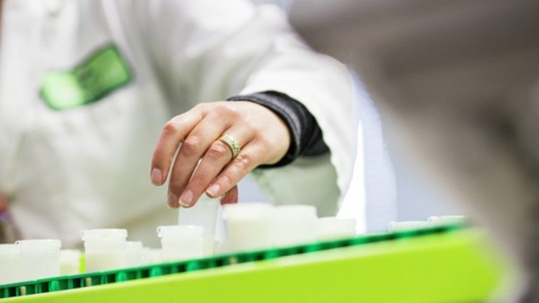 1+1 millió euró jut az élelmiszerek minőségének tesztelésére 1+1 millió euró jut az élelmiszerek minőségének tesztelésére