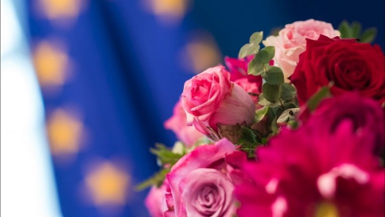 Európai Unió: „a stabilitás szigete”