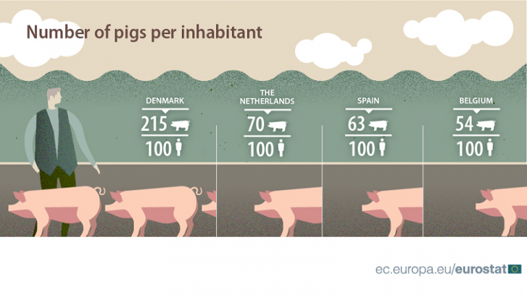 Sok ember disznót győz – Dánia a kivétel