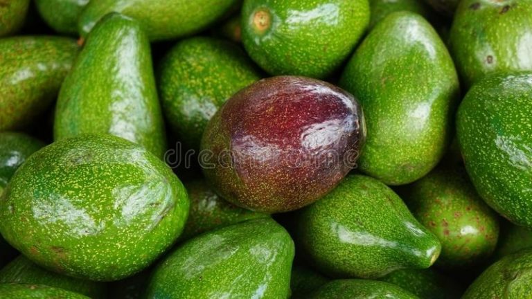 Piacra lép egy új ügynökség, az Avocado