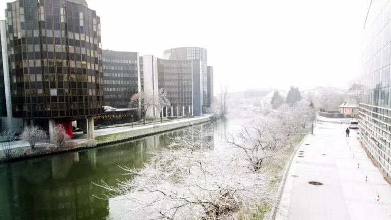Strasbourgi előzetes: Macron, klímavédelem, bioélelmiszerek, terrorizmus Strasbourgi előzetes: Macron, klímavédelem, bioélelmiszerek, terrorizmus