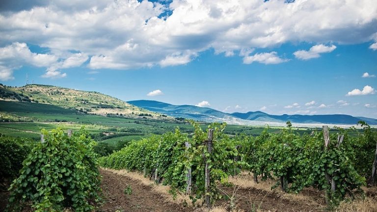 Tokaj vagy Harry Potter? Csata a kínai turistákért