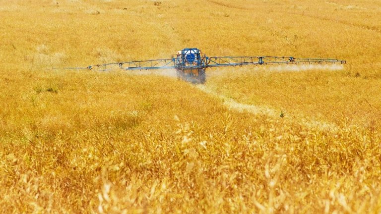 10 milliárd forint lehet idén a támogatott agrárbiztosítások díjbevétele