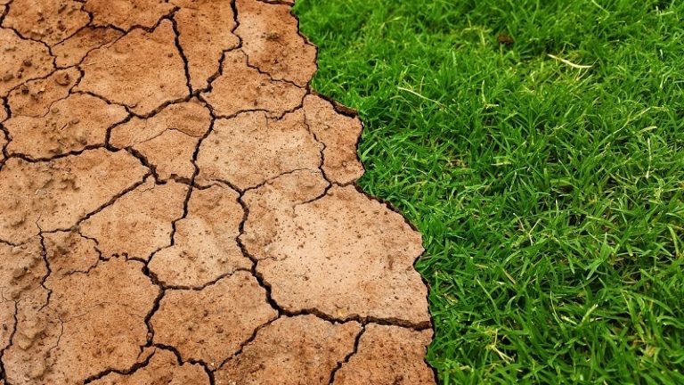 A szlovákoknak csak 2 százaléka dolgozik az agráriumban