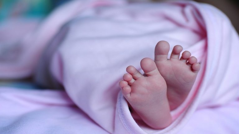 Babakötvény: idén 7 hónap alatt 8,4 milliárdos állomány