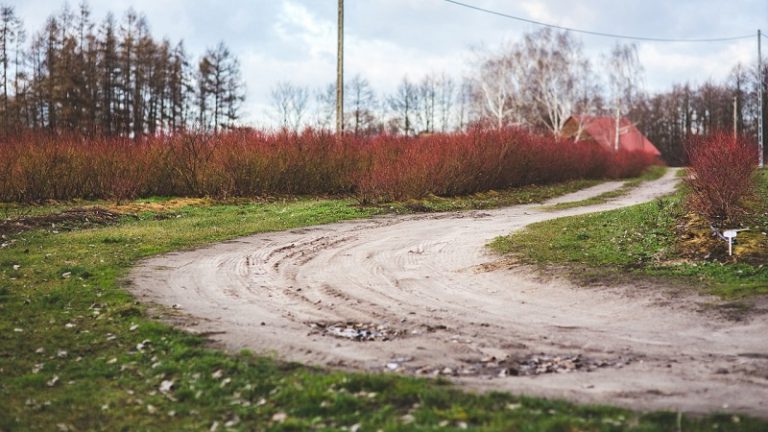 Már igényelhető a falusi csok Már igényelhető a falusi csok