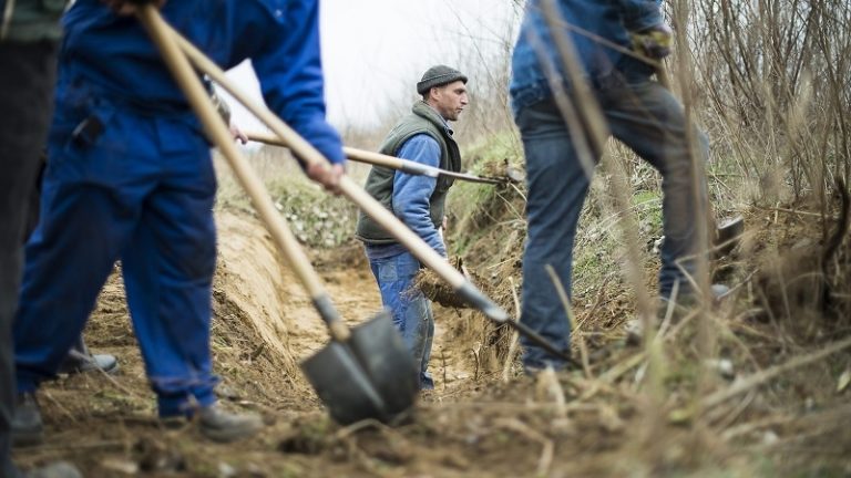 Eredményes a közfoglalkoztatottak munkaerőpiacra visszatérését segítő program