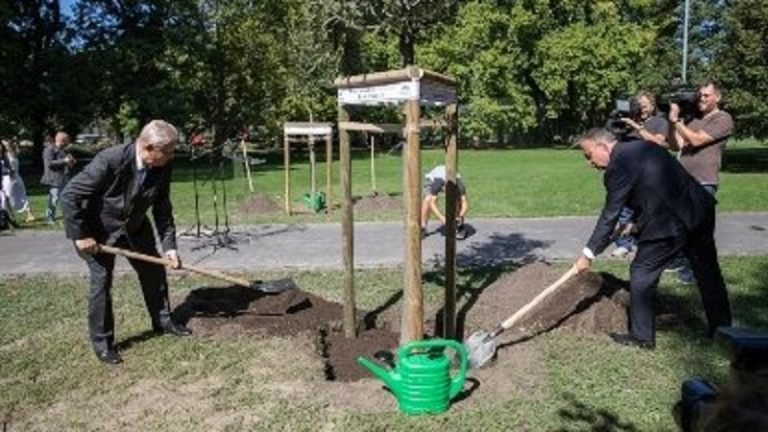 Elültették a fővárosi fatelepítési program tízezredik fáját