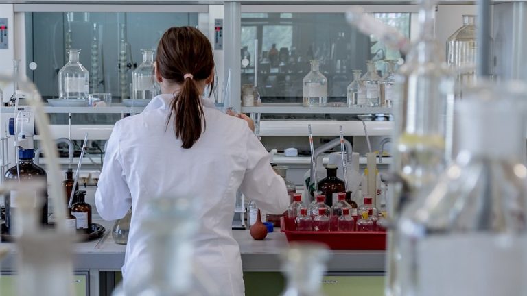 Tovább nőtt tavaly a kutatóhelyek és a K+F tevékenységet végzők száma Tovább nőtt tavaly a kutatóhelyek és a K+F tevékenységet végzők száma