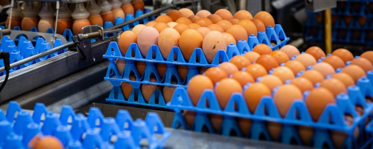 A kereskedők támogatását kérik a magyar tojástermelők A kereskedők támogatását kérik a magyar tojástermelők